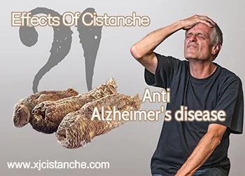 Effects Of Cistanche Total Glycosides On Oxidative Stress in Alzheimer's Disease