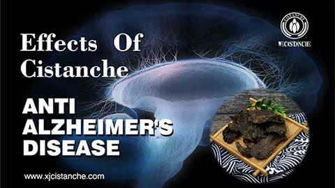 A Traditional Chinese Herbal Formula For Neurodegenerative Disorders (Alzheim...