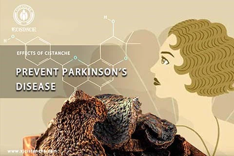 Cistanche Benefits Cistanche Benefits
