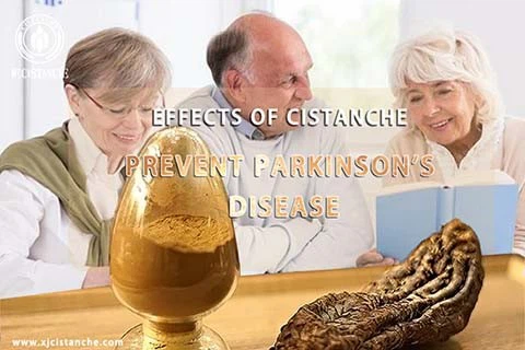 Cistanche for Anti-Parkinsons Disease Cistanche for Anti-Parkinsons Disease