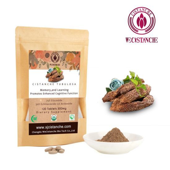 cistanche learning memory.jpg