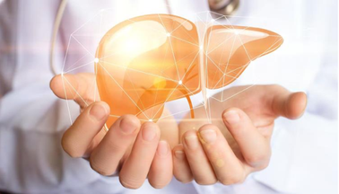Cistanche oxidation resistance for the human liver Cistanche oxidation resistance for the human liver