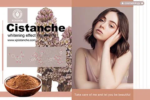 Skincare Cistanche 21 Skincare Cistanche 21