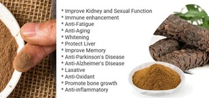 Cistanche tubulosa extact benefit for the men Cistanche tubulosa extact benefit for the men