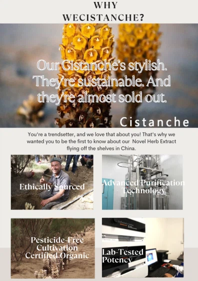 cistanche prostate 6 cistanche prostate 6