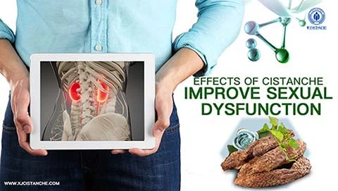 Cistanche tubulosa 5 Cistanche tubulosa 5