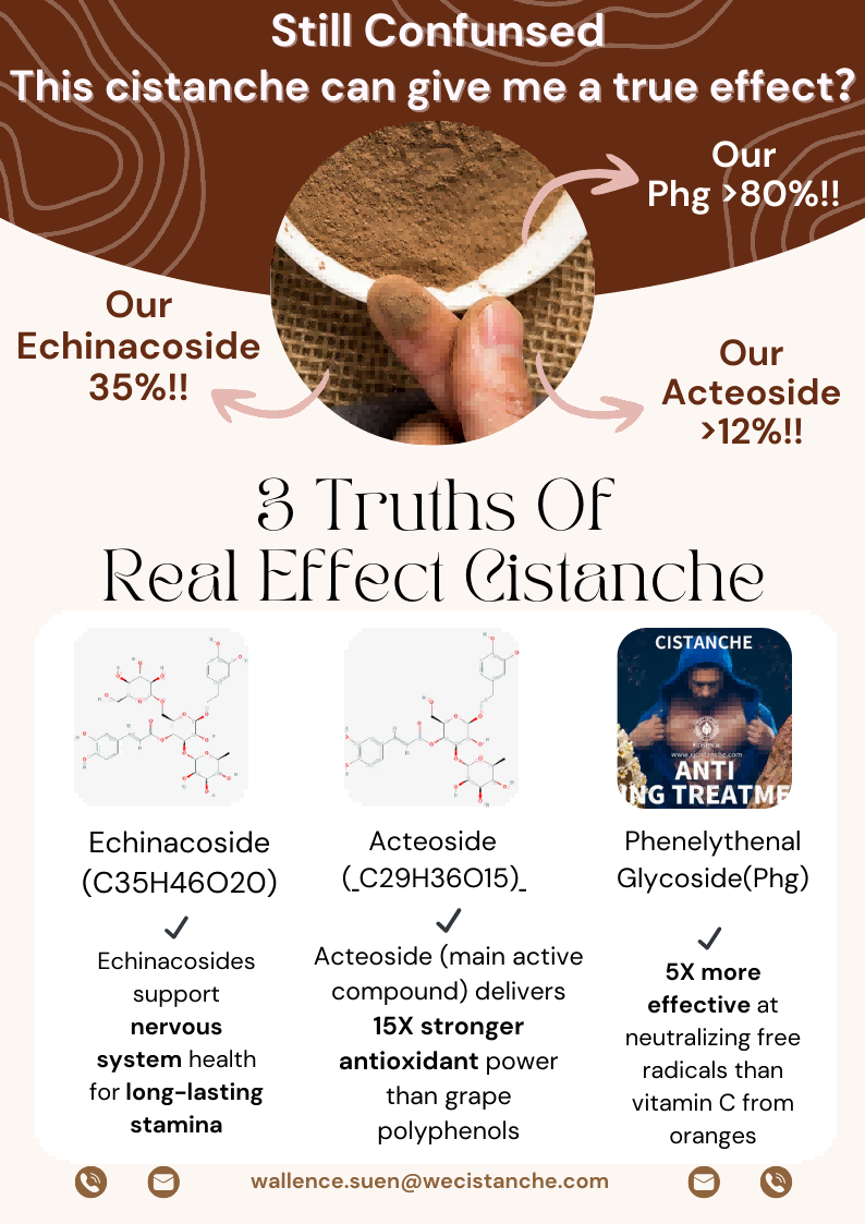 cistanche prostate 5 cistanche prostate 5