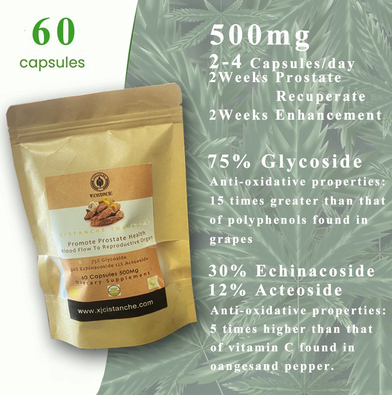 cistanche prostate supplements cistanche prostate supplements