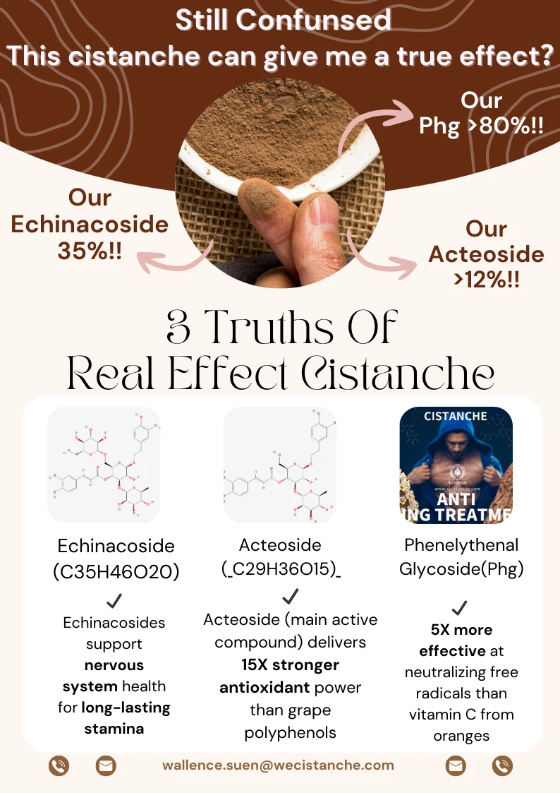 cistanche prostate 5 cistanche prostate 5