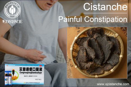 cistanche for inflammatory bowel 9 cistanche for inflammatory bowel 9
