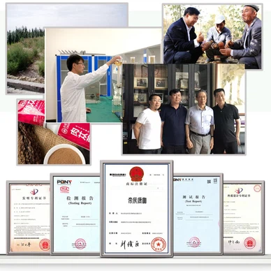 cistanche benefits cistanche benefits