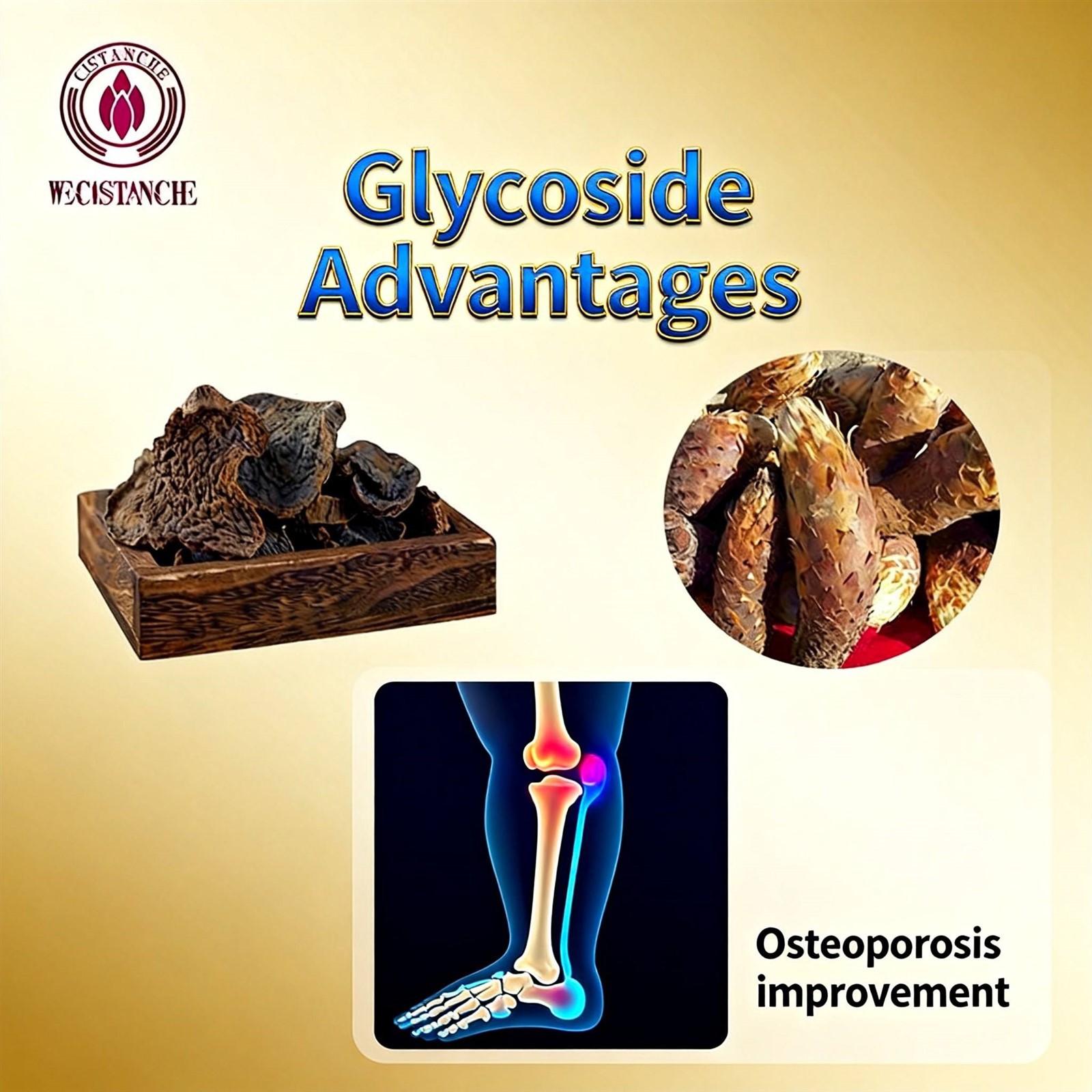 which-herb-increases-bone-density 1 which-herb-increases-bone-density 1
