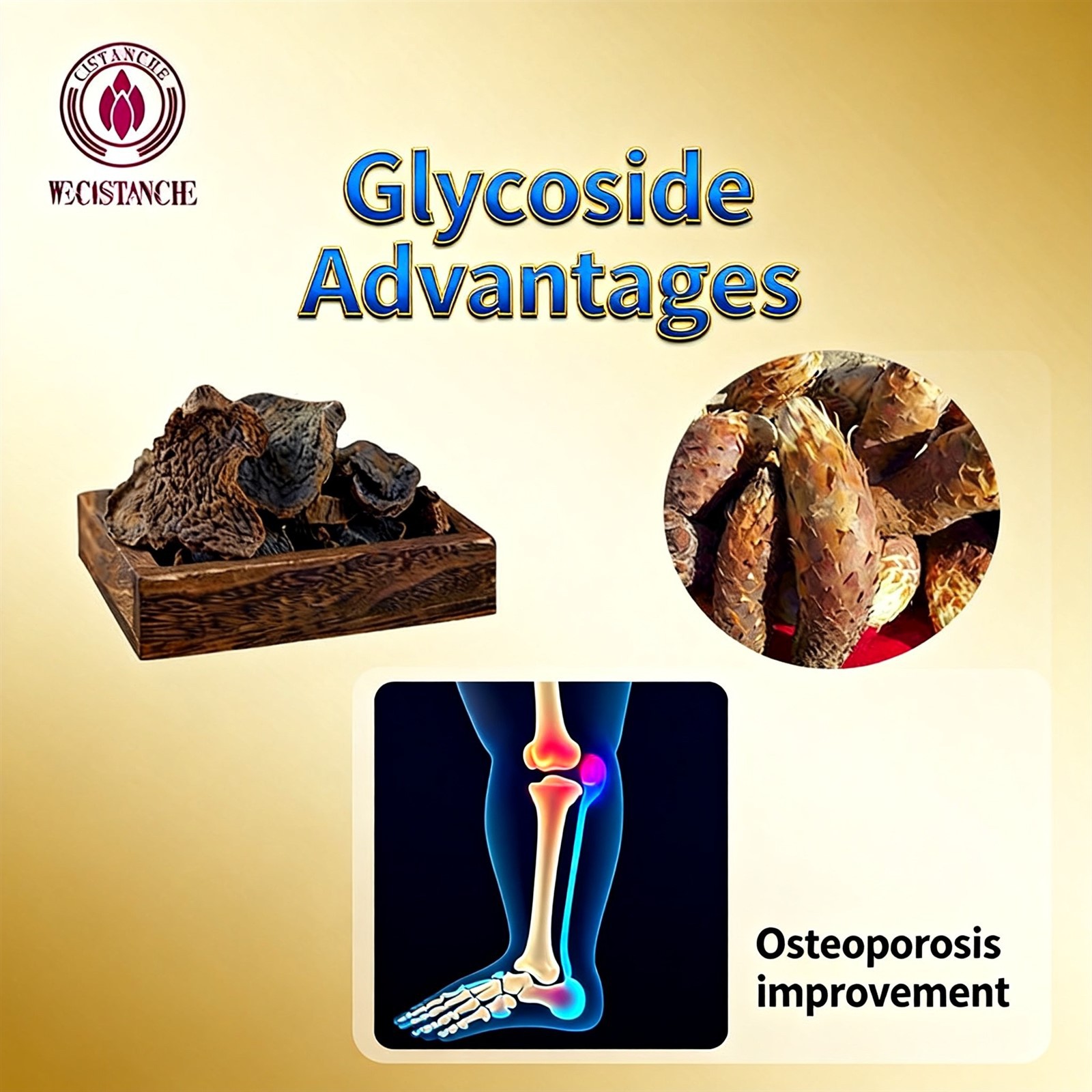 which-herb-increases-bone-density 1 which-herb-increases-bone-density 1