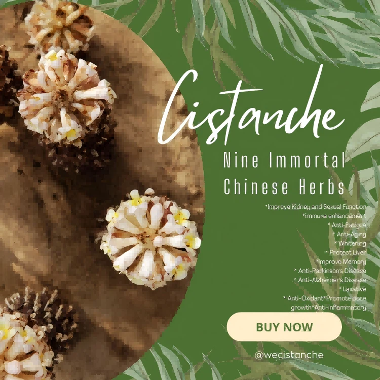 cistanche herbal extract cistanche herbal extract