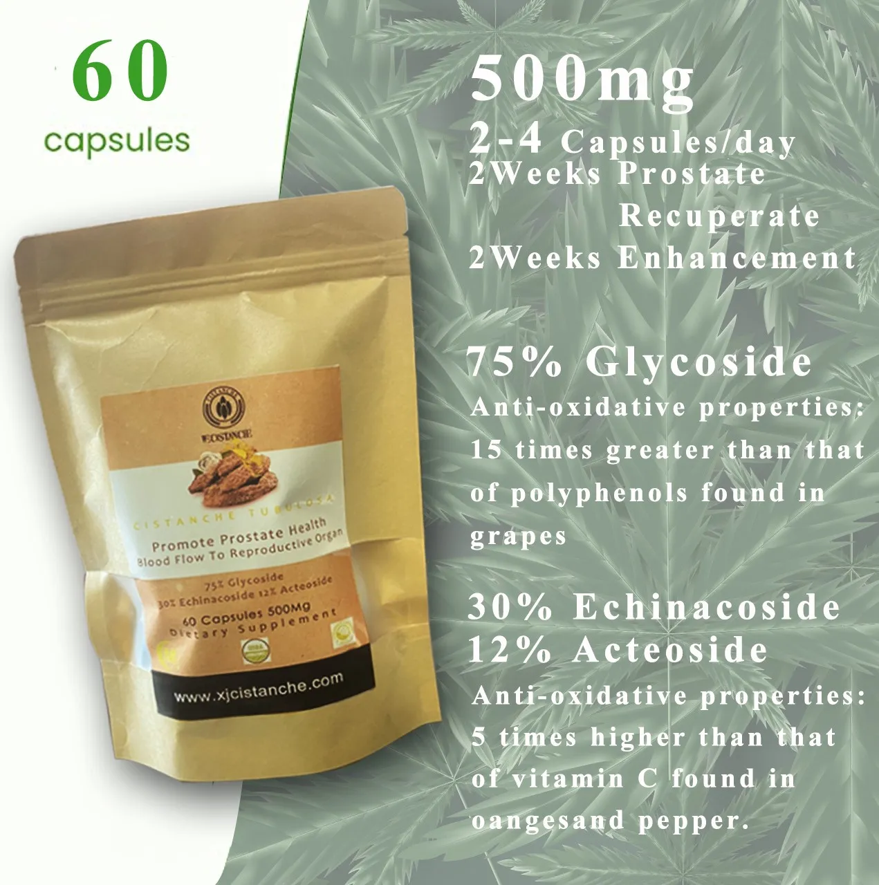 cistanche prostate supplements - cistanche prostate supplements -