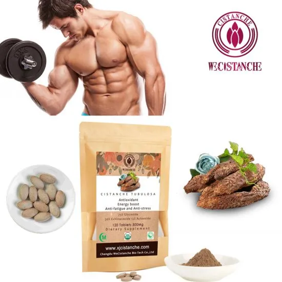 cistanche boost energy cistanche boost energy