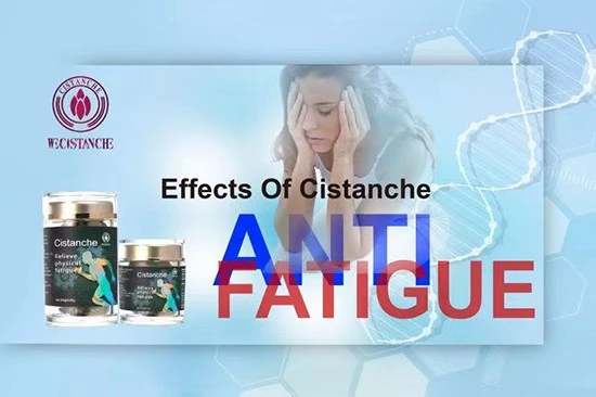 The efficacy of Cistanche tubulosa-anti fatigue The efficacy of Cistanche tubulosa-anti fatigue