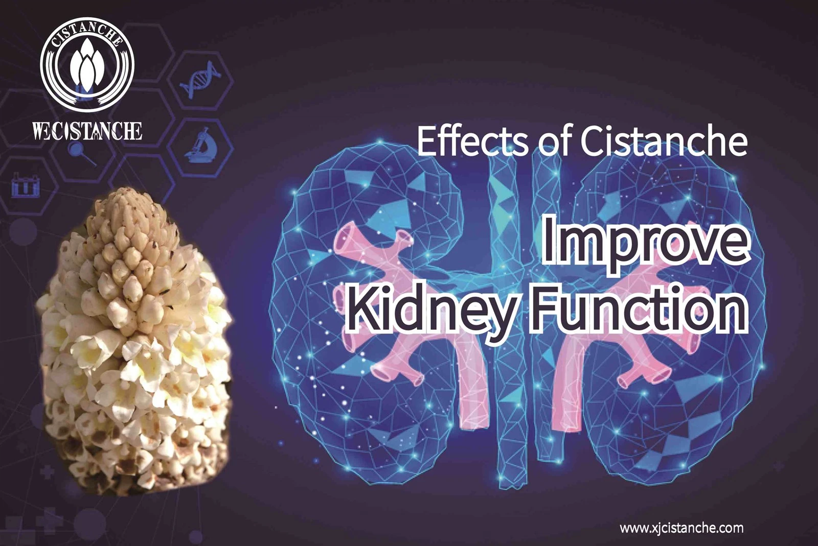 treat kidney deficiency (13) treat kidney deficiency (13)