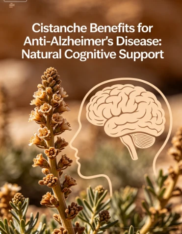 Cistanche Benefits For Anti-Alzheimer’s Disease — Natural Multi-Target Interv...
