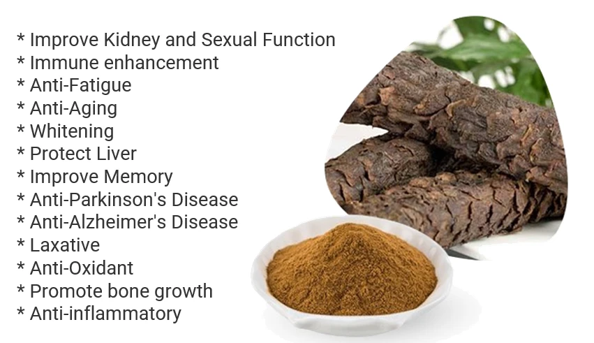 Cistanche benefits for liver protection Cistanche benefits for liver protection