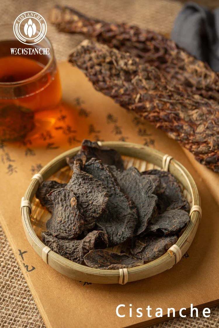 cistanche benefits cistanche benefits