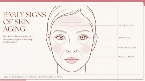 Cistanche benefits for anti-aging Cistanche benefits for anti-aging