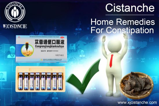 fermented-cistanche-for-gut-support fermented-cistanche-for-gut-support