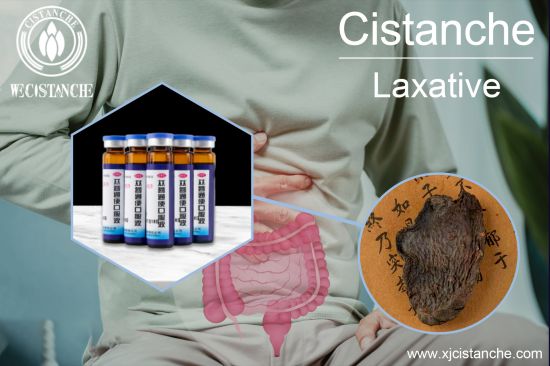 fermented-cistanche-for-gut-support fermented-cistanche-for-gut-support