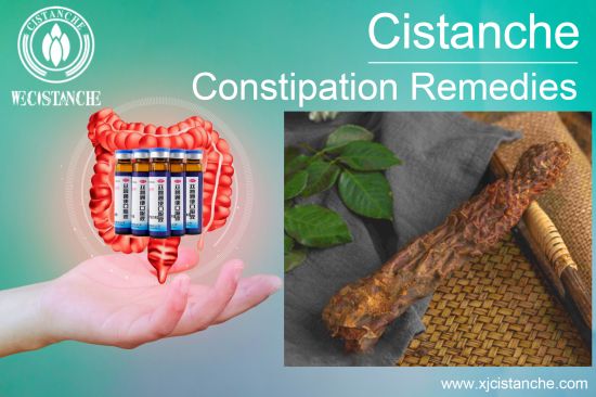 fermented-cistanche-for-gut-support fermented-cistanche-for-gut-support