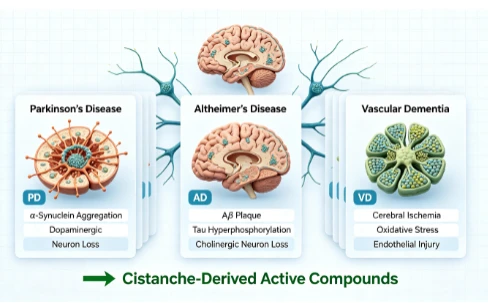Neuroprotective Pharmacological Activities And Mechanisms Neuroprotective Pharmacological Activities And Mechanisms