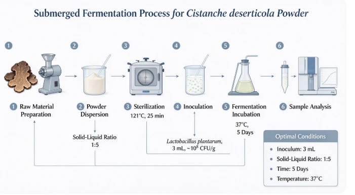 Optimization Of Fermentation Process For Cistanche Deserticola Powder And Eva...