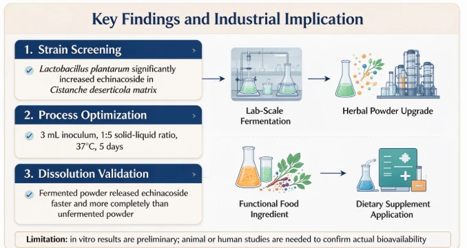In‑Vitro Dissolution Experimental Evaluation In‑Vitro Dissolution Experimental Evaluation