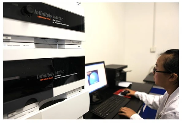 Labs Labs