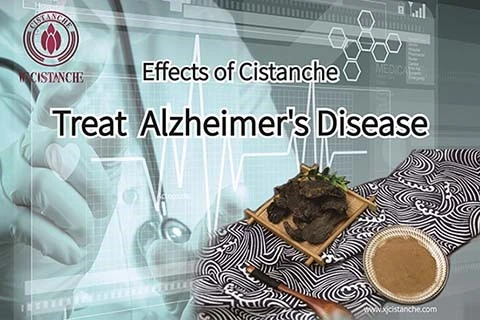 Anti Alzheimers 10 Anti Alzheimers 10